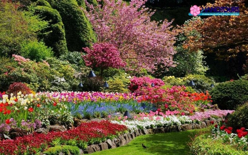Vườn hoa Butchart (Butchart Gardens)