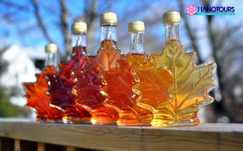 Lễ hội Si-rô cây phong Elmira