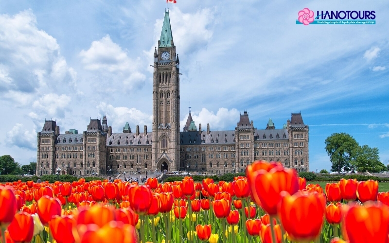 Lễ hội hoa tulip Ottawa