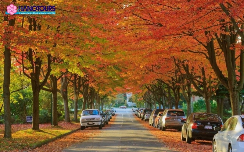 Thời tiết mùa thu Canada dễ chịu