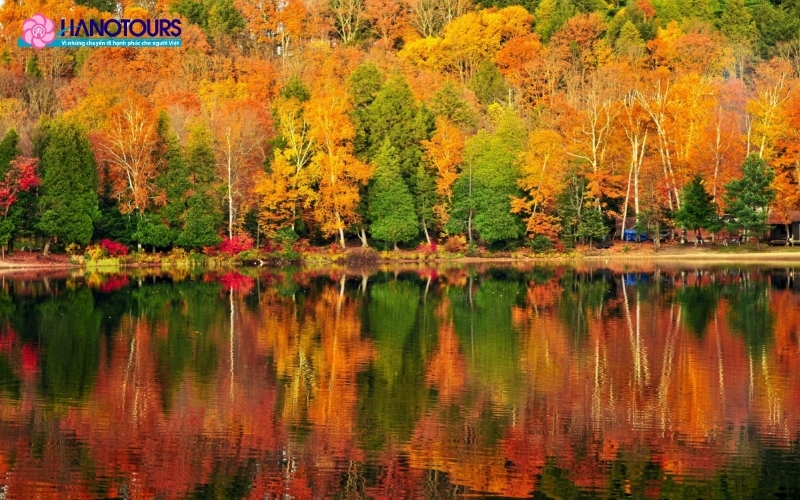 Công viên Algonquin, Ontario