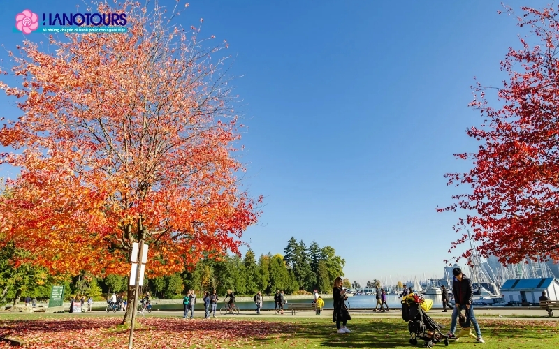 Công viên Stanley (Stanley Park), Vancouver