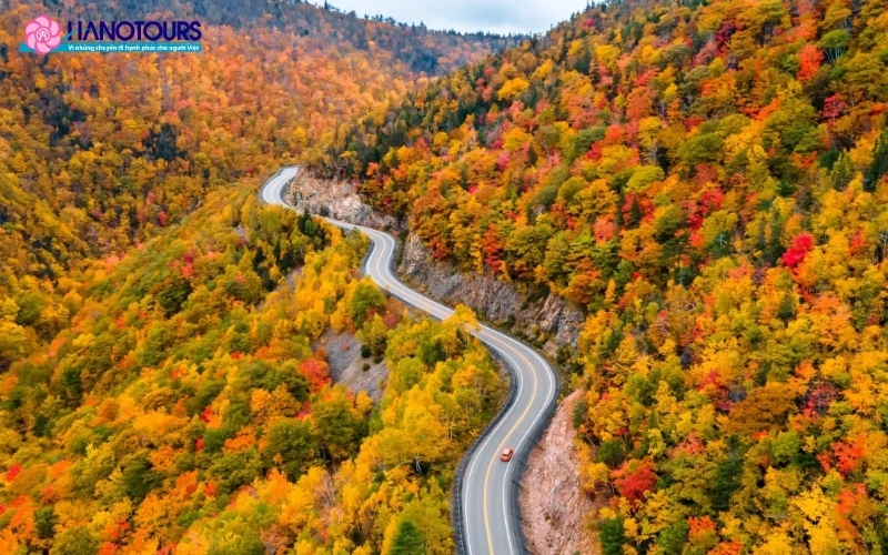 Đại lộ Niagara, Ontario