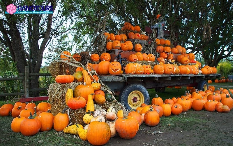 Lễ hội Bí ngô ở Vancouver
