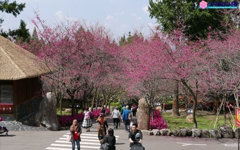 Làng cổ Cửu Phần Đài Bắc