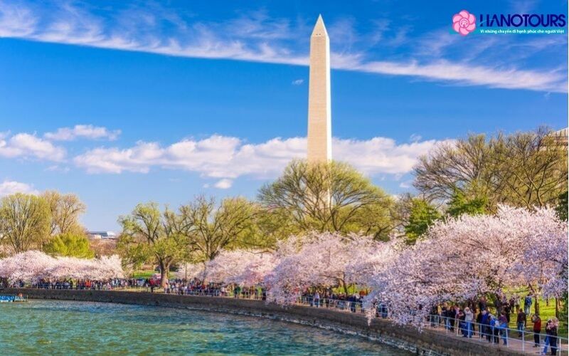 Tháng 3 là thời điểm tuyệt vời để bắt đầu hành trình khám phá nước Mỹ