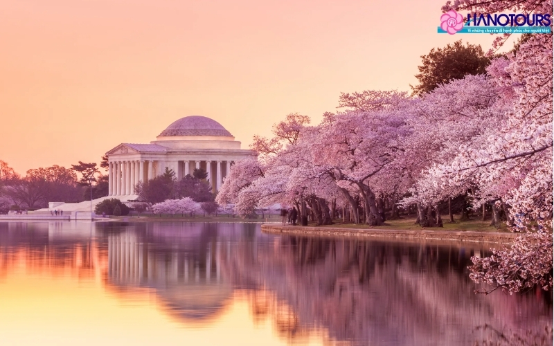 Lễ hội Hoa Anh Đào – Washington D.C.