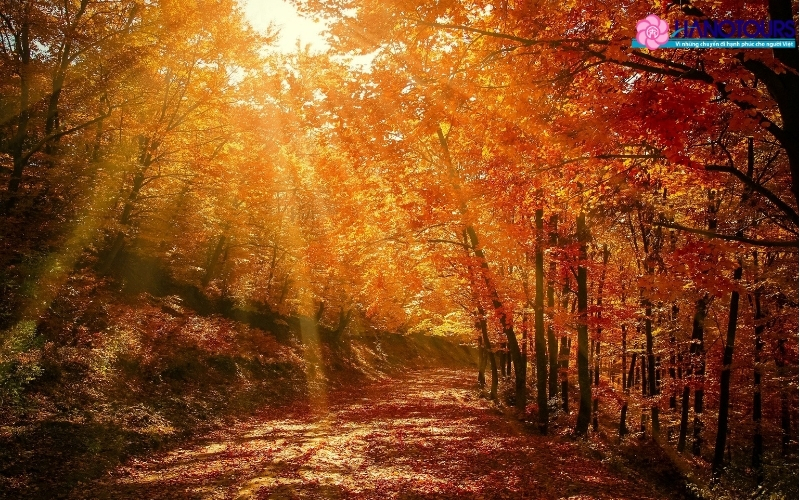 Vườn quốc gia Yellowstone