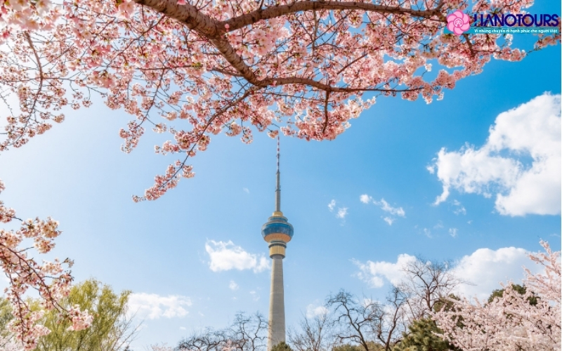 Thượng Hải - Thành phố hiện đại