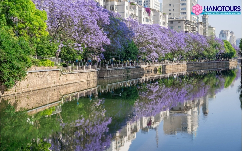 Côn Minh - Thành phố mùa xuân