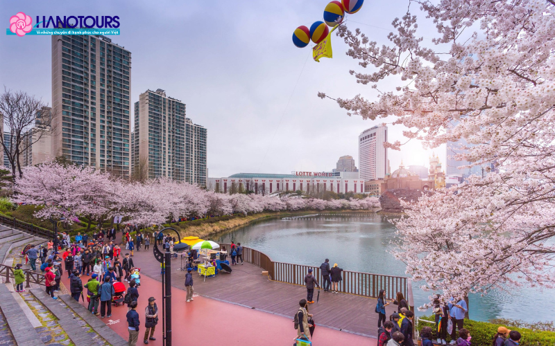 Lễ hội hoa anh đào ở bờ hồ Seokchon