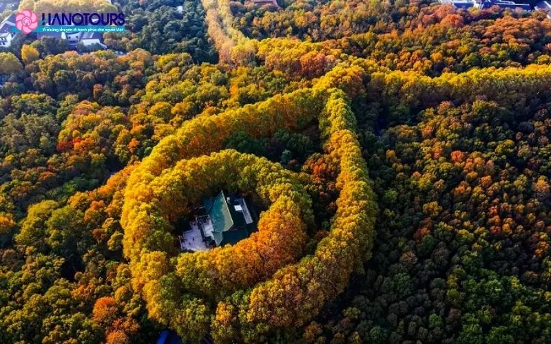 Cung điện Mỹ Linh