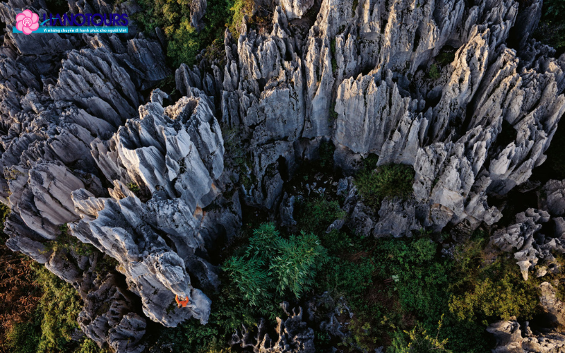 Rừng đá Thạch Lâm được UNESCO công nhận là Di sản thiên nhiên thế giới