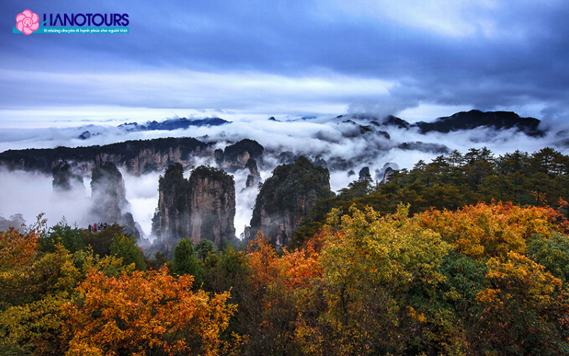 Mùa thu tại Trương Gia Giới