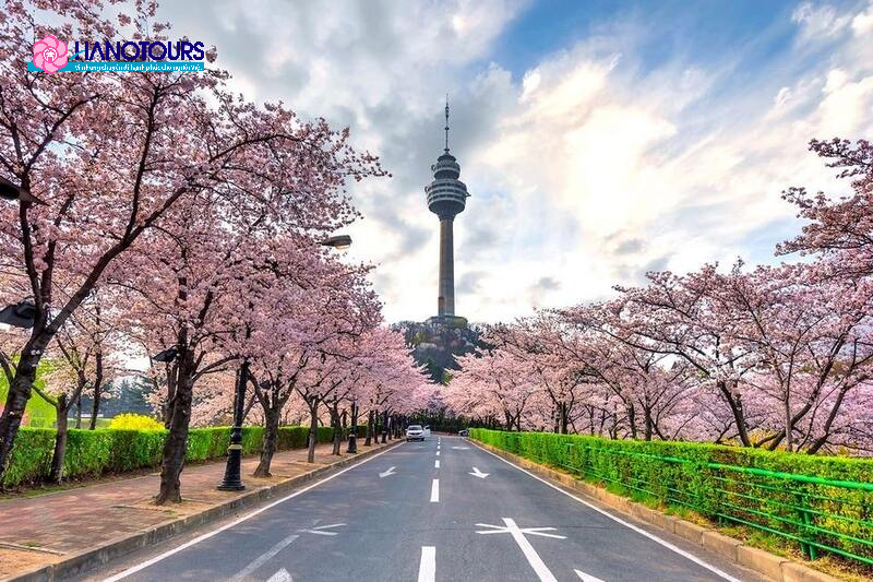 Từ Tháp Woobang, du khách có thể chiêm ngưỡng toàn cảnh thành phố Daegu