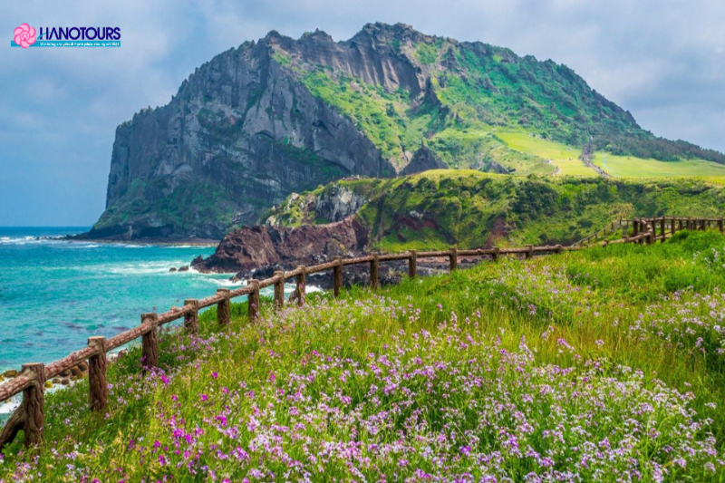 Jeju là một điểm đến du lịch đặc sắc với cảnh sắc tuyệt đẹp và khí hậu trong lành