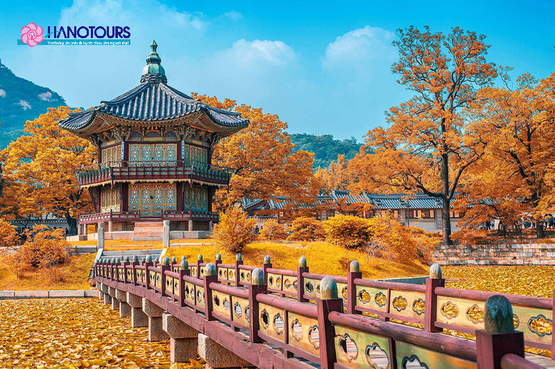 Mùa thu tại Hàn Quốc mang đến bức tranh thơ mộng