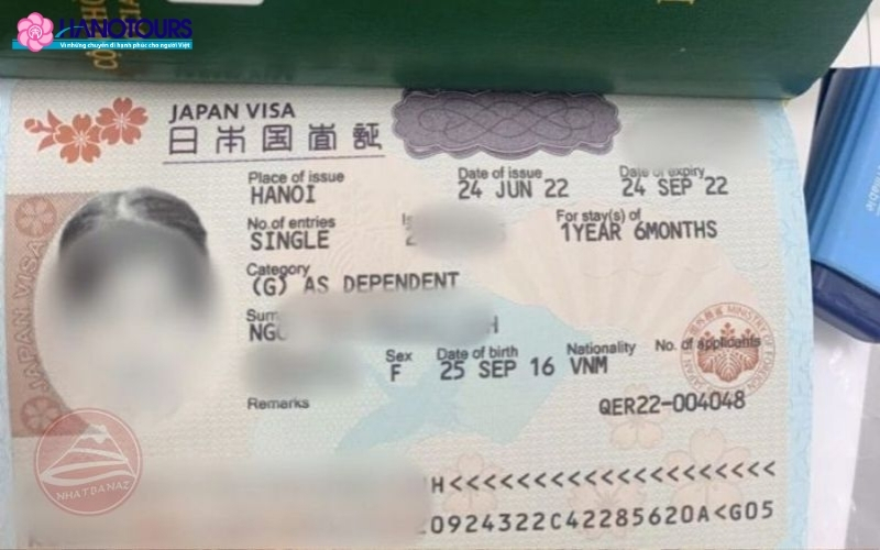 Có những loại visa nào để bảo lãnh người thân sang Nhật
