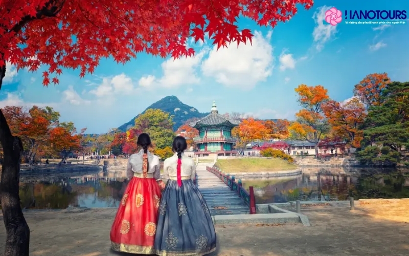 Chi phí cho 1 chuyến du lịch Hàn Quốc tự túc 5 ngày sẽ tốn khoảng 15 triệu VNĐ