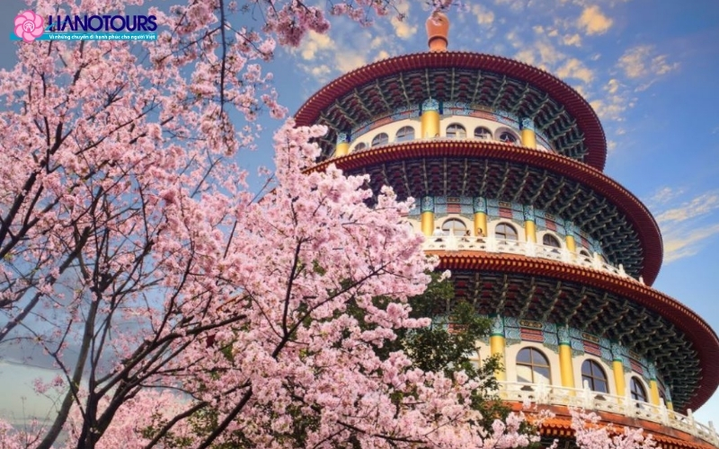 Bất kể bạn đến Đài Loan vào mùa nào, hòn đảo này luôn có điều đặc biệt để chờ đón bạn