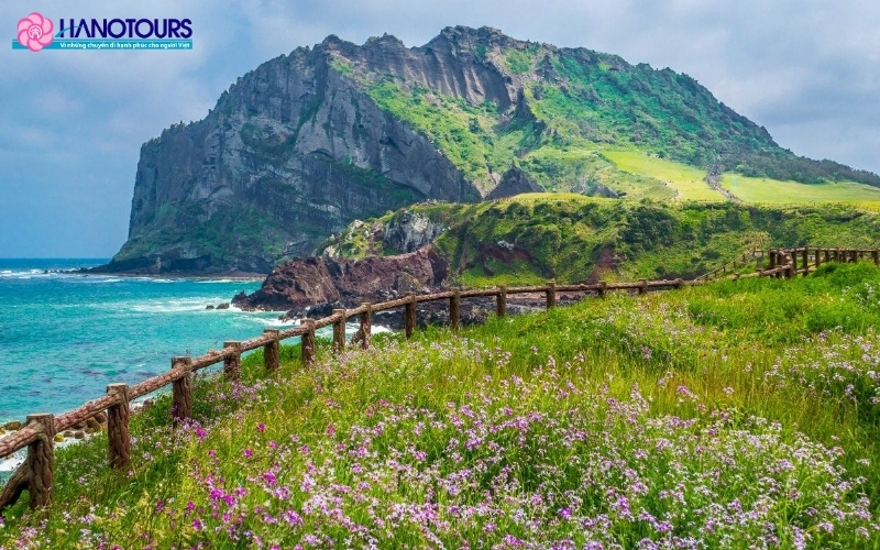 Đảo Jeju tuyệt đẹp qua các mùa