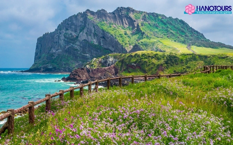Jeju là một điểm đến du lịch đặc sắc với cảnh sắc tuyệt đẹp và khí hậu trong lành