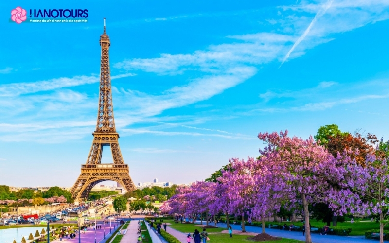 Mùa xuân tại Châu Âu là lúc hoa anh đào nở rộ