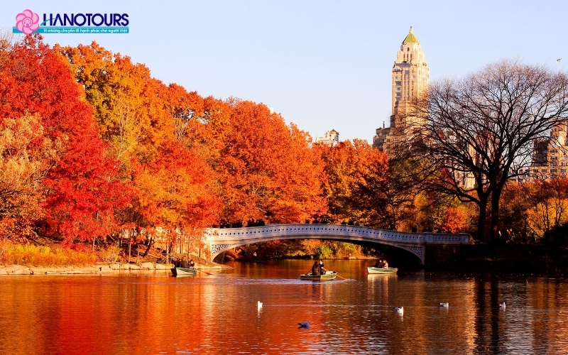 Mùa thu Châu Âu với lá đỏ và lá vàng tạo nên không khí lãng mạn