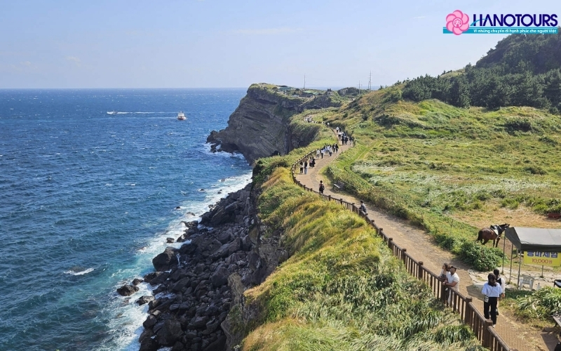 Bạn có thể nhập cảnh ở đảo Jeju ở Hàn Quốc mà không cần xin visa