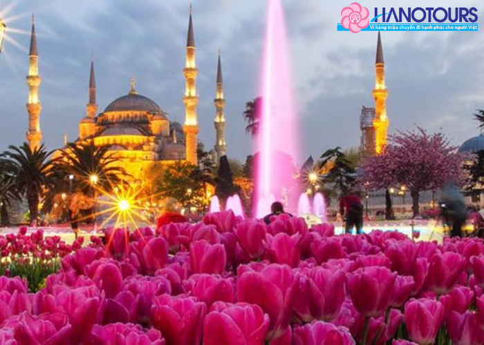 Mùa hoa hồng tại Isparta