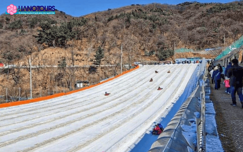 Lễ hội Tuyết Yangju là điểm đến lý tưởng cho ai yêu thích các môn thể thao và hoạt động ngoài trời