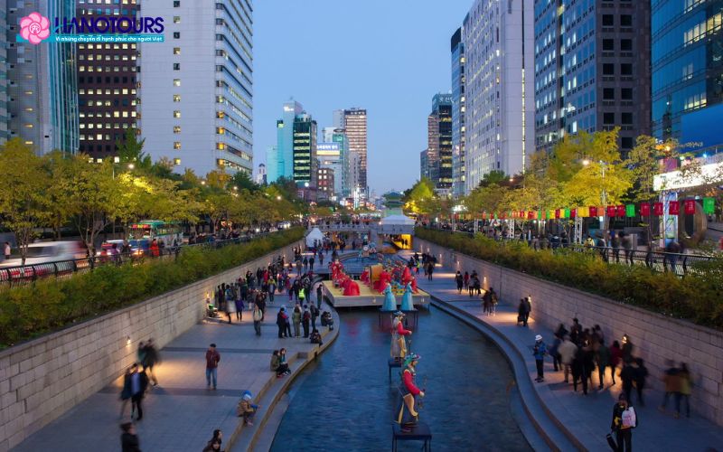 Toàn cảnh suối Cheonggyecheon về đêm với vẻ đẹp huyền ảo