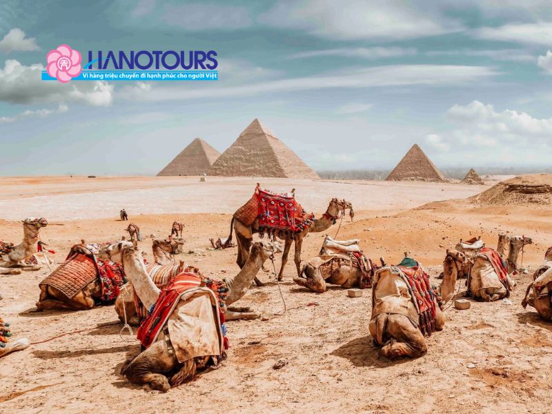 Tại sao nên chọn du lịch Ai Cập tự túc trong năm 2026?