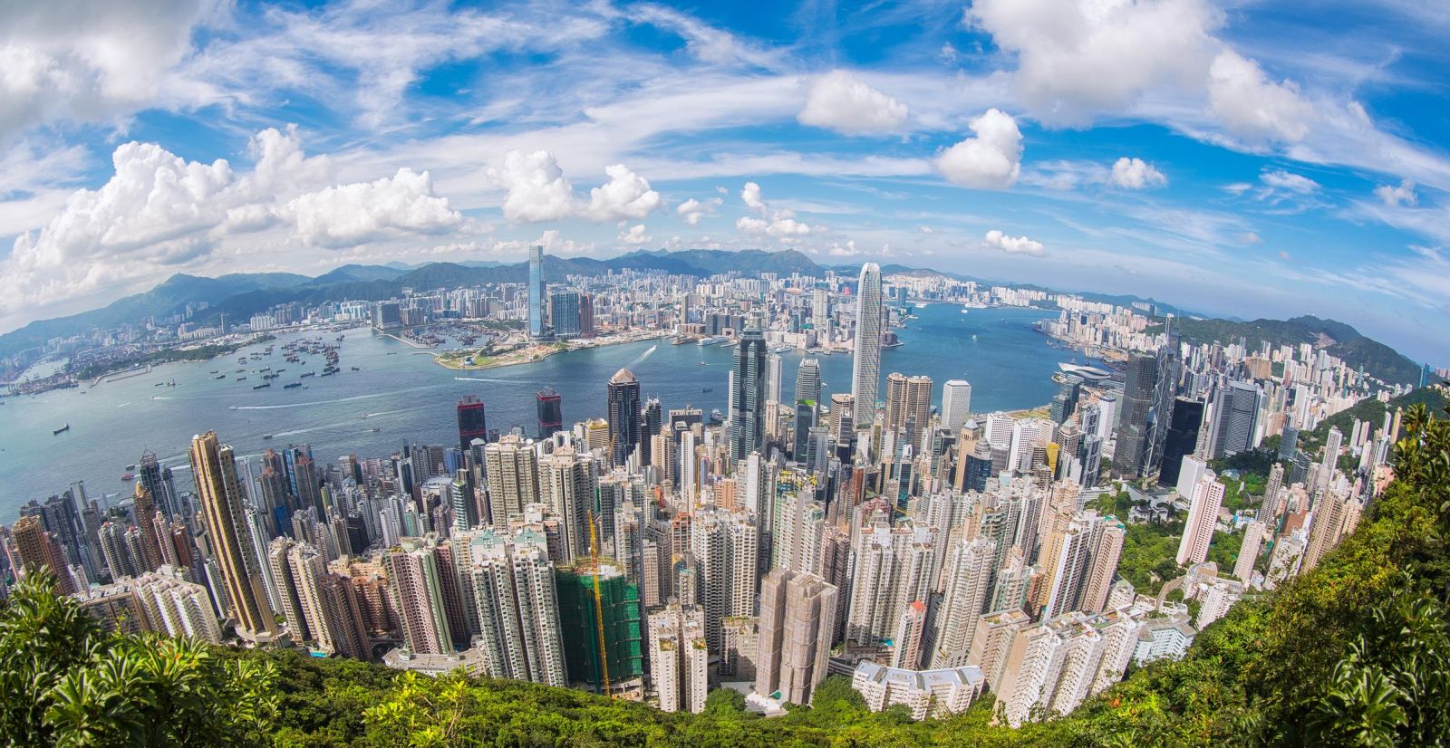 Ngắm toàn cảnh Hồng Kông từ Victoria Peak với những tòa nhà chọc trời và cảng Victoria trải rộng phía dưới