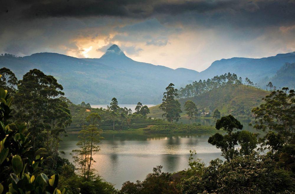 Mùa thu Sri Lanka dịu dàng giữa sắc xanh và những cơn mưa nhiệt đới