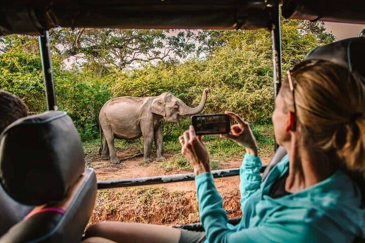 Chi phí safari và các trải nghiệm tại Sri Lanka phụ thuộc vào địa điểm, thời lượng và loại hình hoạt động mà du khách lựa chọn