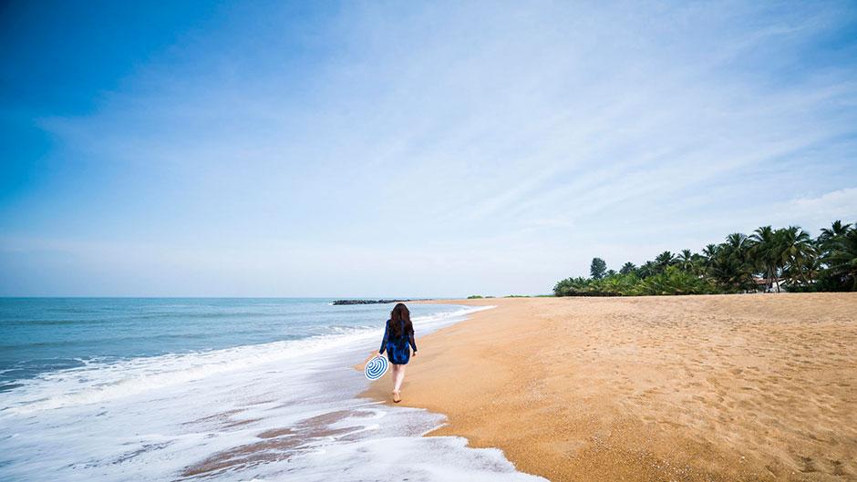 Tận hưởng không gian biển Kalutara với bờ cát trải dài, hàng dừa xanh và những khoảnh khắc thư giãn bên Ấn Độ Dương