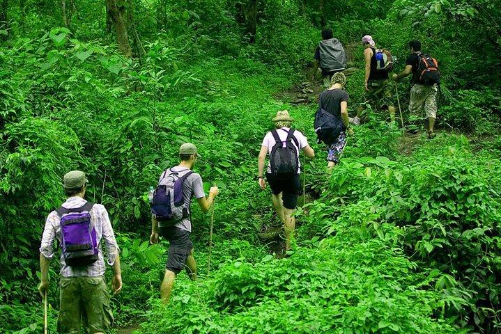 Trekking khám phá rừng nhiệt đới Kitulgala đưa du khách băng qua những lối mòn xanh mát, suối rừng và hệ sinh thái tự nhiên phong phú