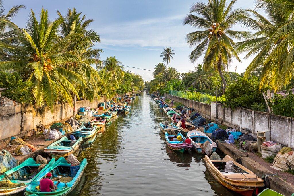 Kênh đào Hamilton chạy qua Negombo với khung cảnh bình dị của thuyền bè, nhà dân và cuộc sống thường ngày ven kênh