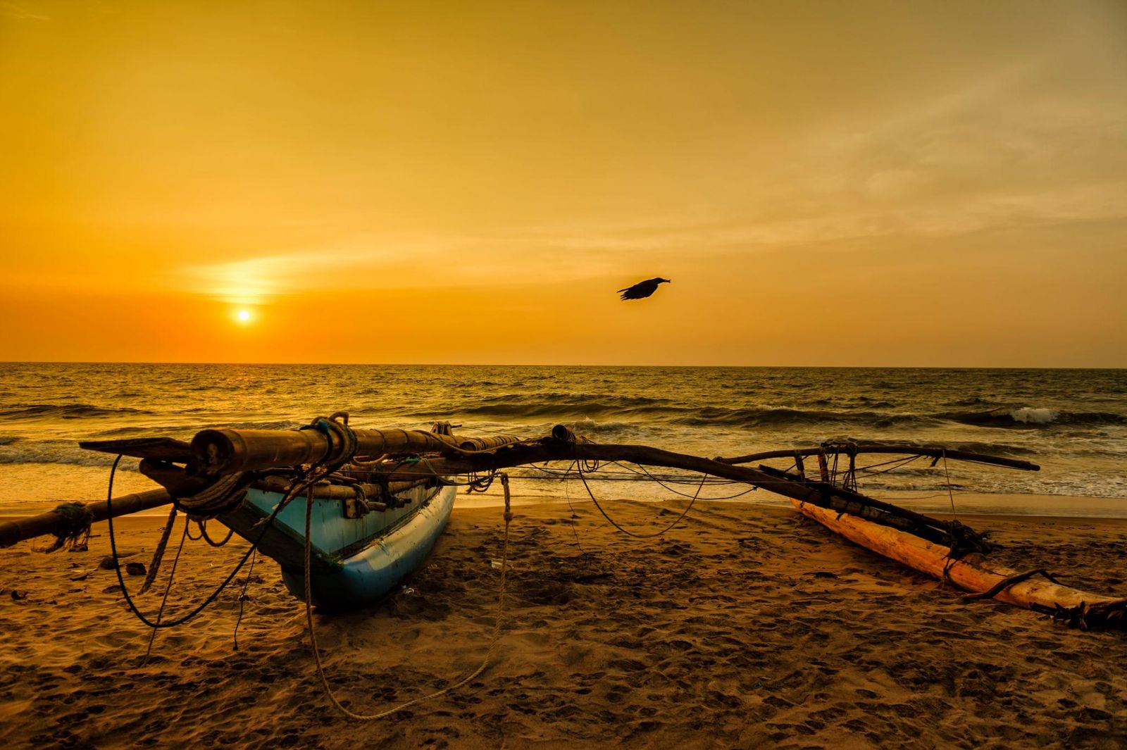 Bãi biển Negombo thu hút với bờ cát dài, hàng dừa ven biển và khung cảnh hoàng hôn yên bình bên Ấn Độ Dương