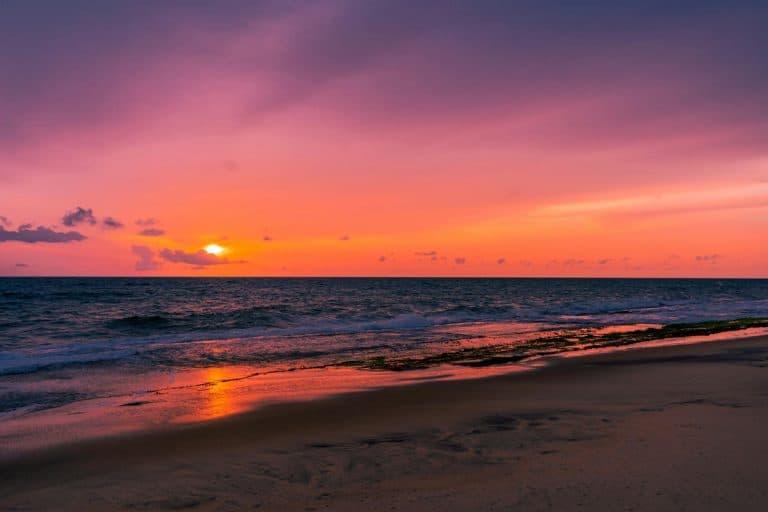 Bãi biển Negombo nổi bật với bờ cát dài, hàng dừa ven biển và khung cảnh hoàng hôn yên bình của Sri Lanka