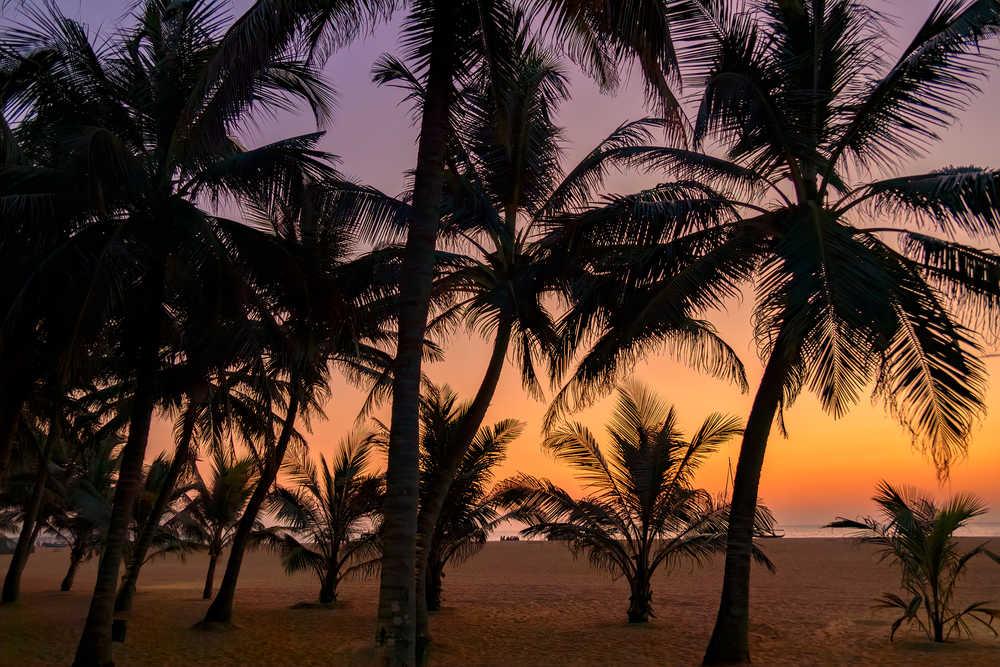 Đón hoàng hôn trên biển Negombo khi ánh nắng cuối ngày phủ vàng bãi cát và mặt biển Sri Lanka