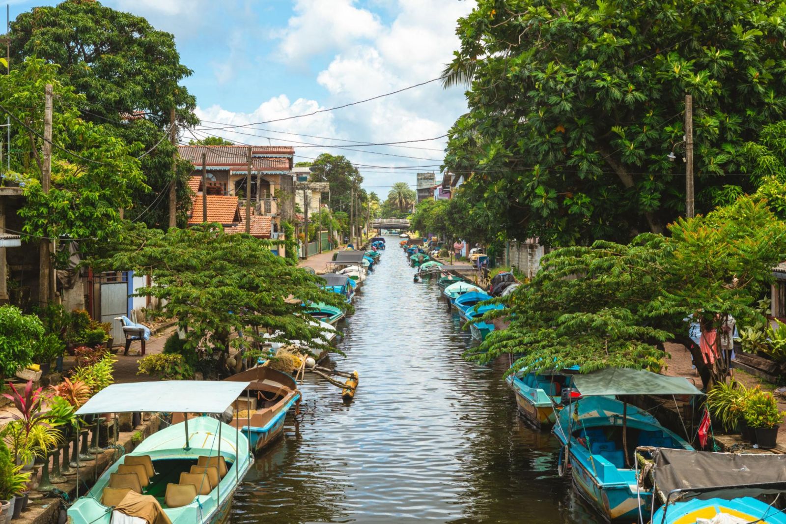 Kênh Hamilton mang nét yên bình với những hàng cây, thuyền bè và cuộc sống thường ngày ven kênh ở Negombo