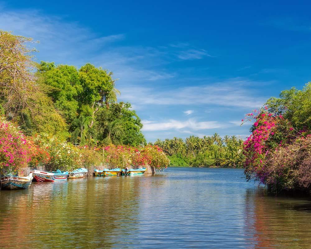 Du lịch Negombo mùa thu mang đến khung cảnh biển yên bình, đầm phá xanh mát và những khoảnh khắc thư thái bên bờ biển Sri Lanka