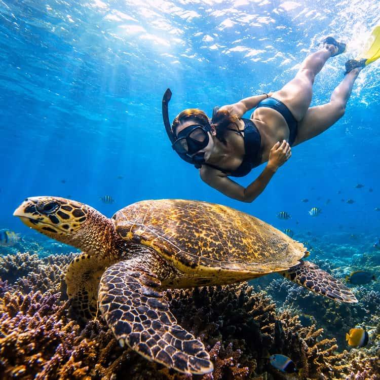 Lặn biển và snorkeling tại Trincomalee mang đến cơ hội khám phá những rạn san hô rực rỡ và hệ sinh thái biển phong phú dưới làn nước trong xanh