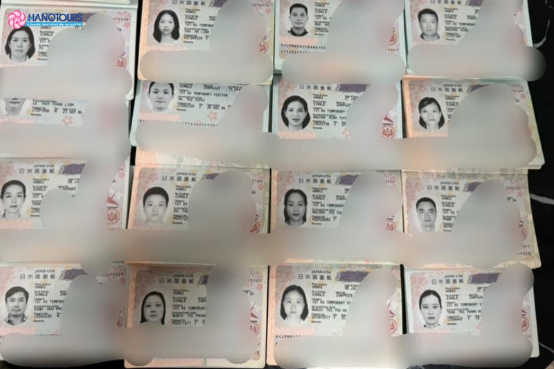Hanotours mang đến cơ hội đậu visa các nước tới 99%